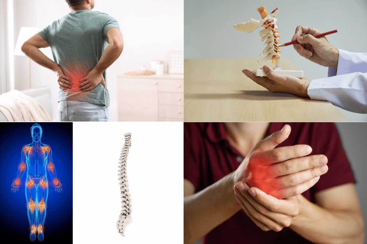 Formation Gestes Postures et TMS Sabrina FOUCAUD ViEpanouie